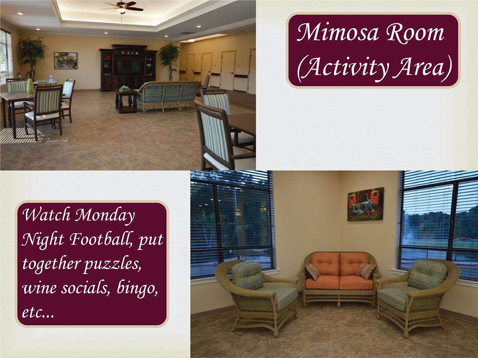 Mimosa Room (Activity Area): Watch Monday Night Football, put together puzzles, wine socials, bingo, and more.